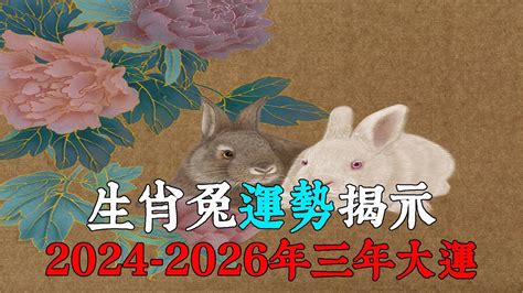 2024生肖兔運勢|2024屬兔幾歲、2024屬兔今年運勢、屬兔幸運色